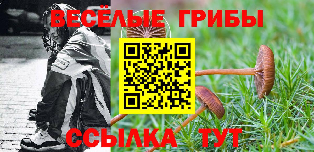 Михайловка  Галлюциногенные грибы Psilocybe  Вход с VPN 