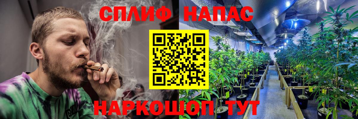 Каннабис гибрид Михайловка